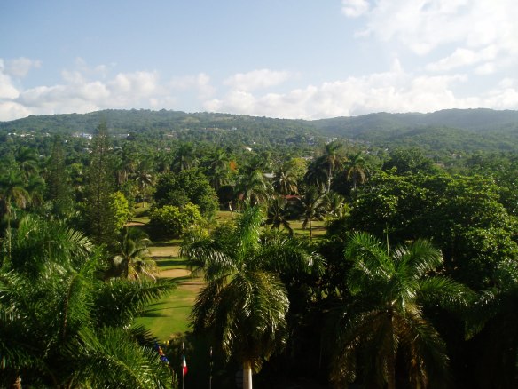 Palm Trees and hills of Jamaica